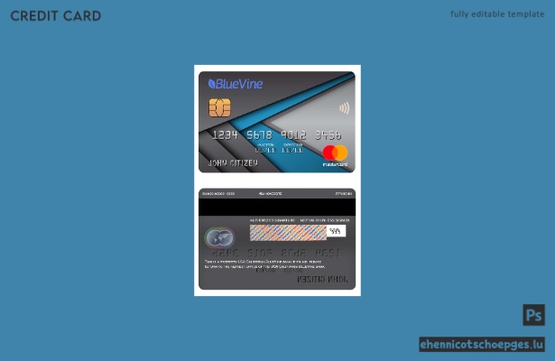 USA Kalifornien BlueVine Bank Mastercard Beispielvorschau